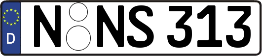 N-NS313