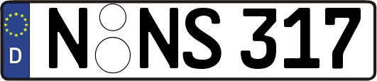 N-NS317