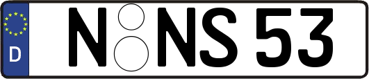 N-NS53