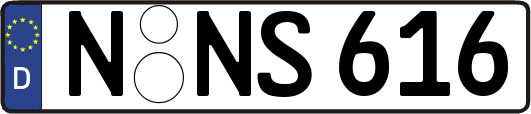 N-NS616