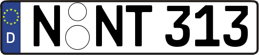 N-NT313