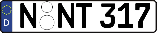 N-NT317