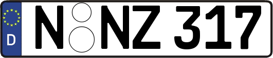 N-NZ317
