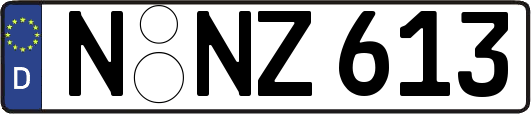 N-NZ613
