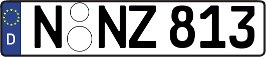 N-NZ813