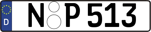 N-P513
