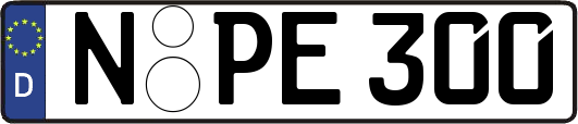 N-PE300