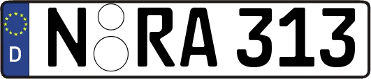 N-RA313