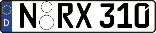 N-RX310