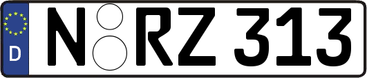 N-RZ313