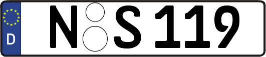 N-S119