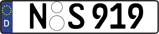 N-S919