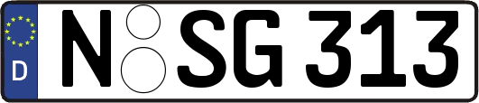 N-SG313