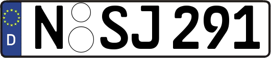 N-SJ291