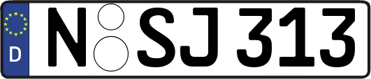 N-SJ313