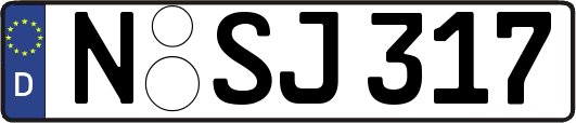 N-SJ317