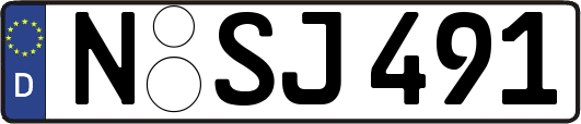 N-SJ491
