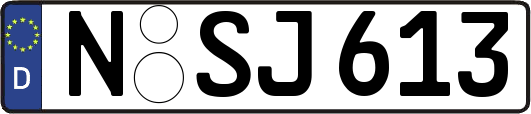 N-SJ613