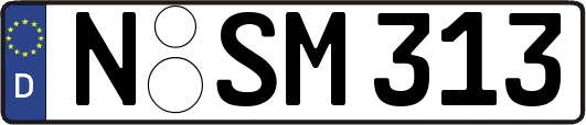 N-SM313