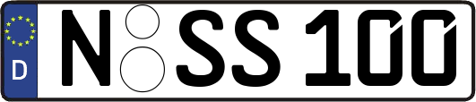 N-SS100