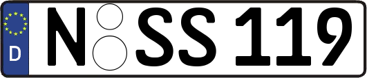 N-SS119