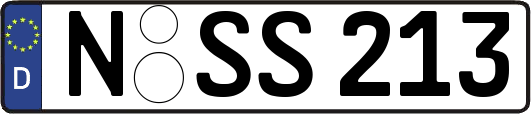 N-SS213