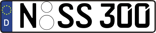 N-SS300