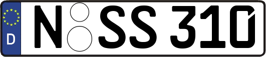 N-SS310