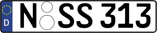N-SS313