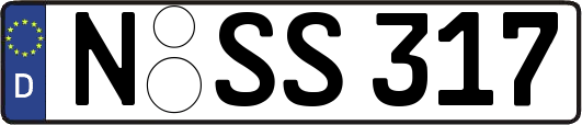 N-SS317