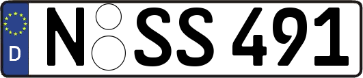 N-SS491