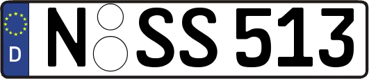 N-SS513