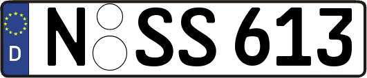 N-SS613