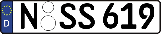 N-SS619