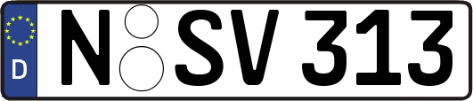 N-SV313