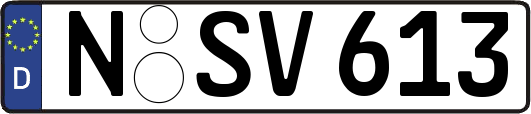 N-SV613