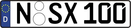 N-SX100