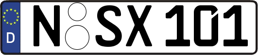 N-SX101