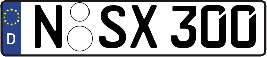 N-SX300