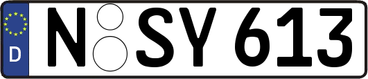 N-SY613