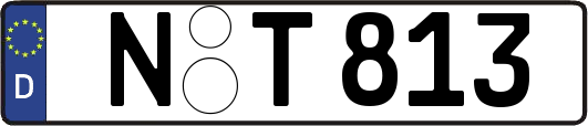 N-T813
