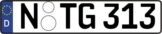 N-TG313