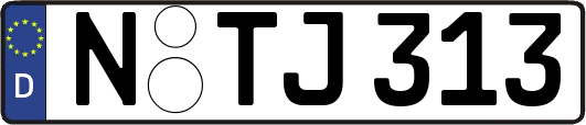 N-TJ313