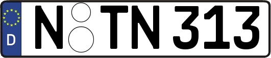 N-TN313
