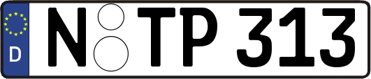 N-TP313