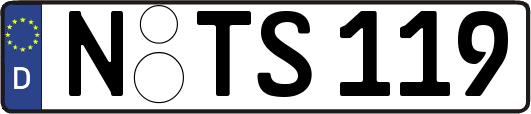 N-TS119