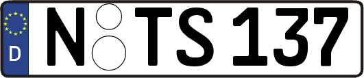 N-TS137