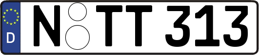 N-TT313