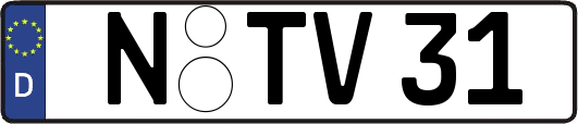 N-TV31