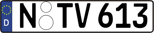 N-TV613